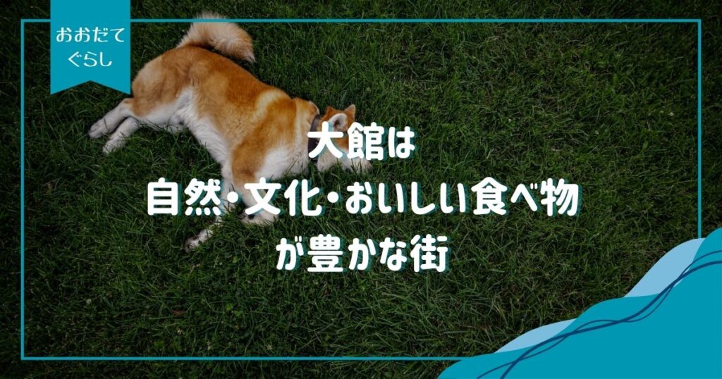 大館のよさをブログで発信！秋田県大館市の歴史や魅力、現状の課題まで詳しく紹介